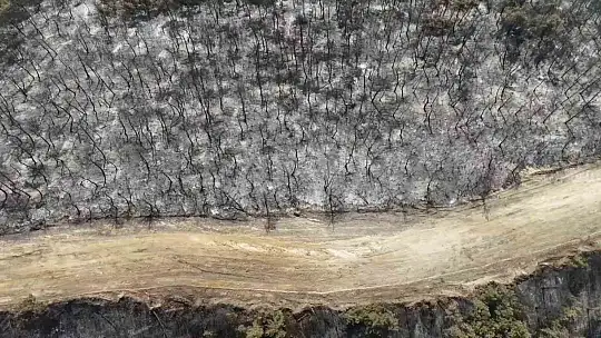 Orman yangınında zarar gören alanlar dronla görüntülendi