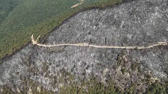 Orman yangınında zarar gören alanlar dronla görüntülendi