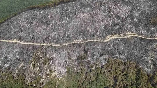 Orman yangınında zarar gören alanlar dronla görüntülendi