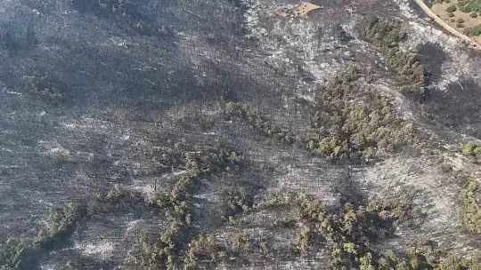 Orman yangınında zarar gören alanlar dronla görüntülendi