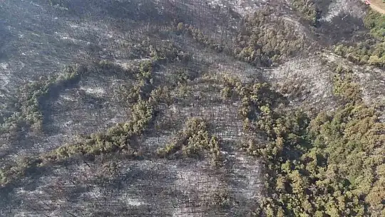 Orman yangınında zarar gören alanlar dronla görüntülendi