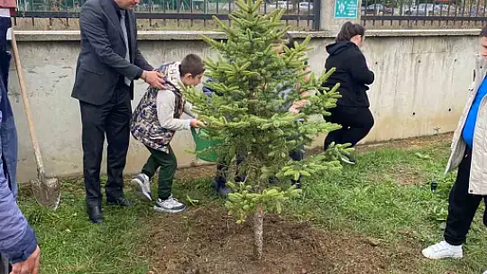 Orman yangınları sonrası yola çıktı, 71. fidanını Bolu'da dikti