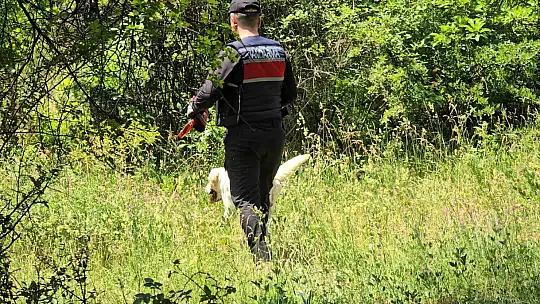Ormanda çadır kurup kamp yapan öğretmen kayboldu