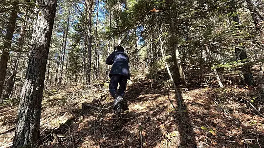 Ormanda kaybolan 88 yaşındaki adamdan acı haber: Dere yatağında cansız bedenine ulaşıldı