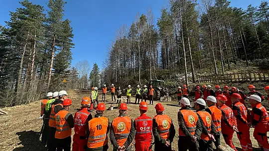 Ormanda tatbikat