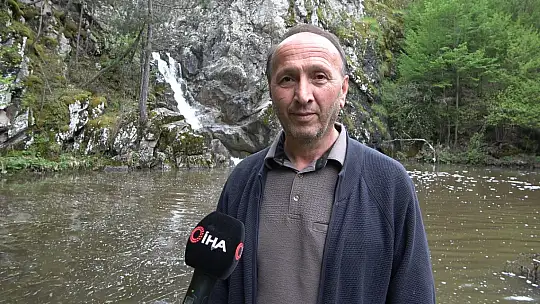 Ormanın içerisindeki şelale görenleri mest ediyor
