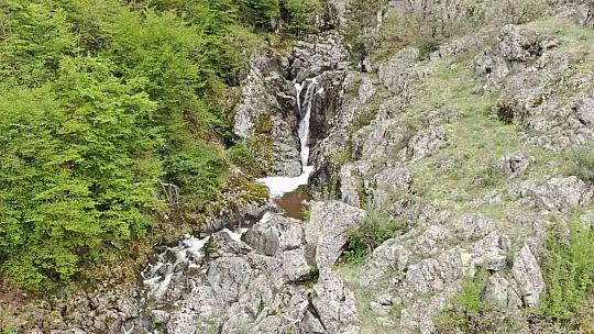 Ormanın içerisindeki şelale görenleri mest ediyor