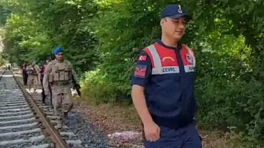Ormanlar jandarma ve komandoların koruması altında