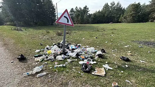 Ormanlık alanda çöp yığınları