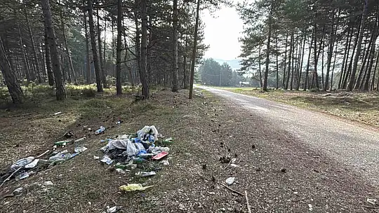 Ormanlık alanda çöp yığınları