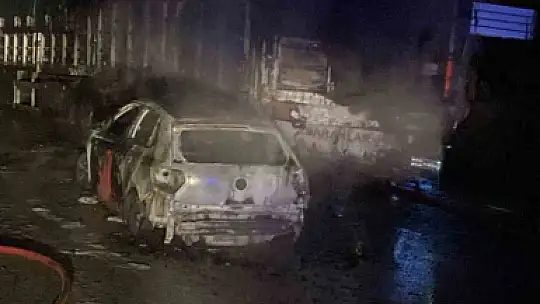 Otomobil ile büyükbaş hayvan yüklü tırın çarpışması sonucu yangın çıktı, 4 hayvan telef oldu