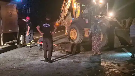 Otomobil karayoluna çıkan 3 mandaya çarptı: 1'i ağır, 2 yaralı