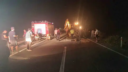 Otomobil karayoluna çıkan 3 mandaya çarptı: 1'i ağır, 2 yaralı