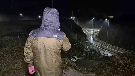 Otomobil viyadükten uçtu: 1 yaralı