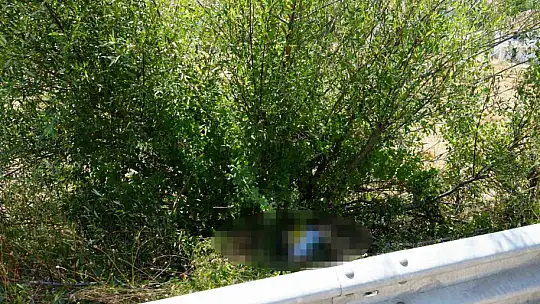 Otomobilin çarptığı bisikletli ağacın altında ölü bulundu