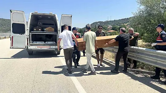 Otomobilin çarptığı bisikletli ağacın altında ölü bulundu