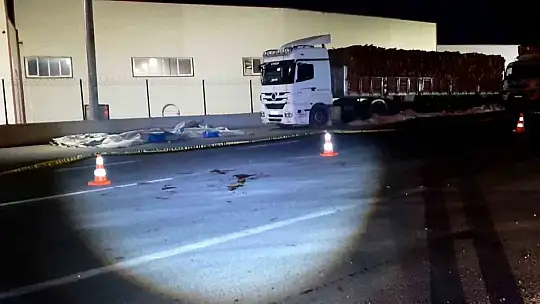 Otomobilin çarptığı tır sürücüsü hayatını kaybetti