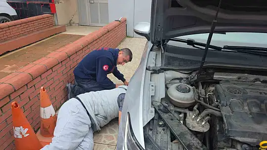 Otomobilin motor bölümüne giren yavru kedi 1 saatlik uğraşın ardından çıktı