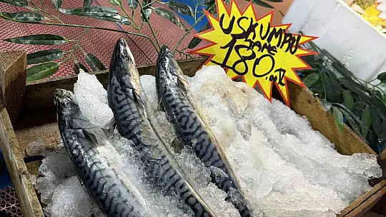 Palamut Gürcistan'a kaçınca tezgahlar hamsiyle doldu