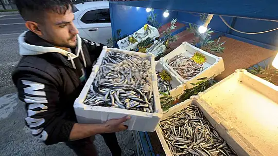 Palamut Gürcistan'a kaçınca tezgahlar hamsiyle doldu