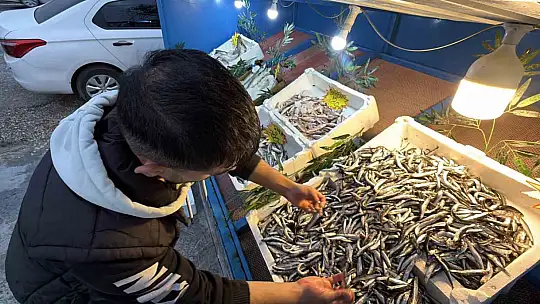 Palamut Gürcistan'a kaçınca tezgahlar hamsiyle doldu