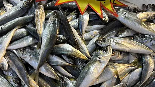 Palamut Gürcistan'a kaçınca tezgahlar hamsiyle doldu