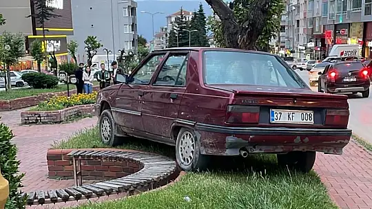 Park halindeyken haraket eden otomobil ağaca çarparak durabildi