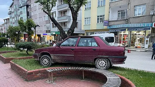 Park halindeyken haraket eden otomobil ağaca çarparak durabildi