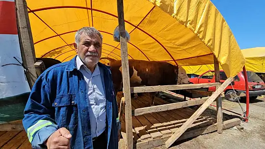 Pazarın yıldızı 'Yıldız' oldu 850 kiloluk kurbanlık 285 bin TL'ye satıldı