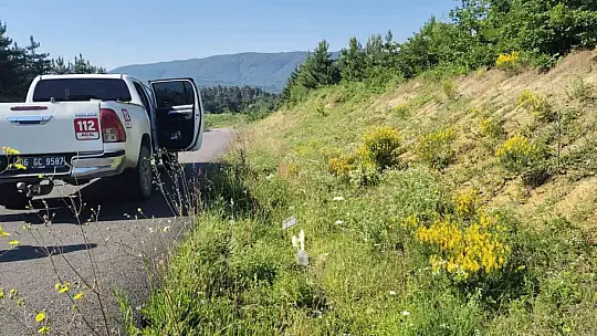 Piknikçiler kirletti, ekipler temizledi