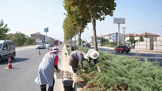 Refüjlerde bakım çalışmaları sürüyor
