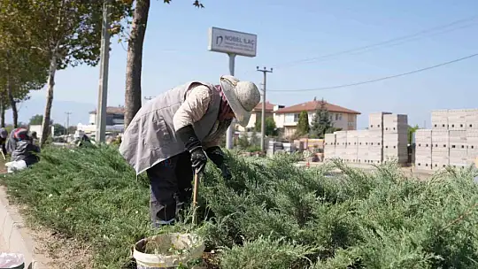 Refüjlerde bakım çalışmaları sürüyor