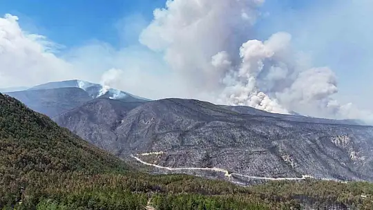 Rüzgar, Karabük'teki orman yangınlarını yeniden alevlendirdi