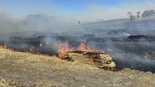Saman balyası yangını ormana sıçradı