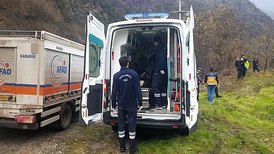 Şarampole yuvarlanan kamyonetteki 2 kişi yaralandı