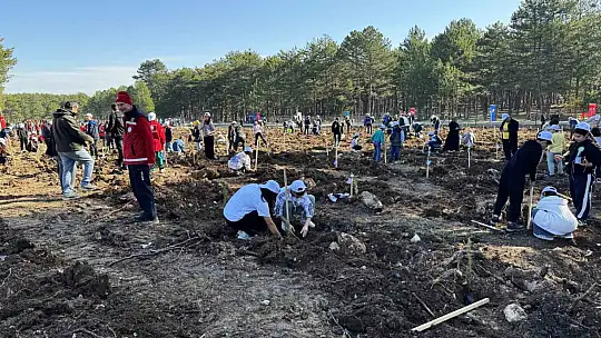 Şehit orman işçisi Enes Kızılyer anısına çeşme açılışı ve fidan dikimi yapıldı