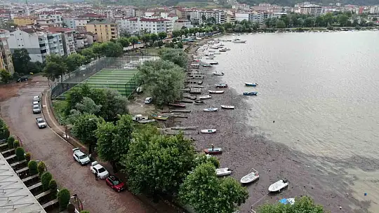 Selin sürüklediği odunlar denizi kapladı