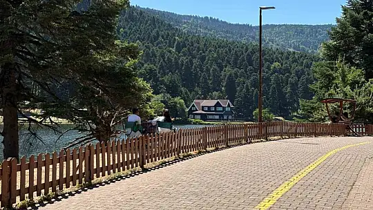 Sıcak havadan bunalan vatandaşlar soluğu Gölcük Tabiat Parkı'nda aldı