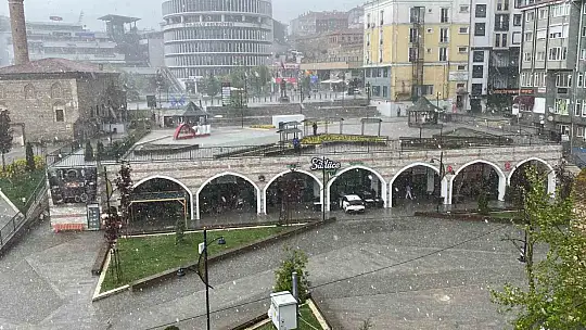 Şiddetli dolu etrafı beyaza bürüdü