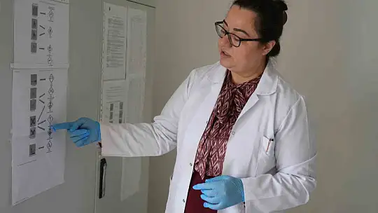 Sık sık gündeme gelen zehirlenmelerle ilgili uzmanlardan hayati uyarılar: