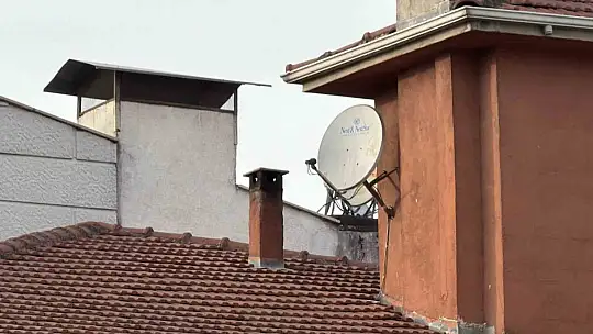 Sinsi tehlikeye dikkat çekti