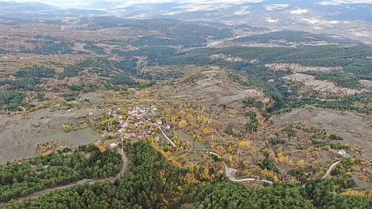 Sis ve doğanın buluşması mest etti