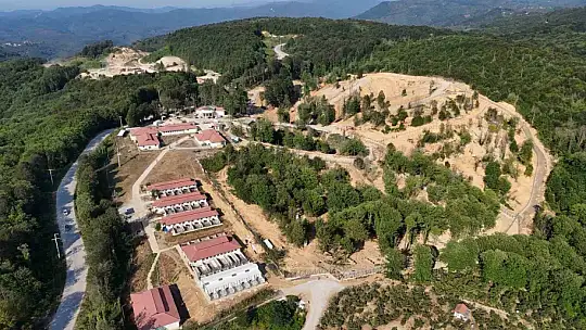 Sokak hayvanları için 80 bin metrekare rehabilitasyon merkezi