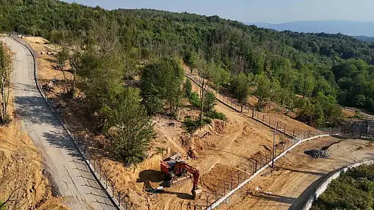 Sokak hayvanları için 80 bin metrekare rehabilitasyon merkezi