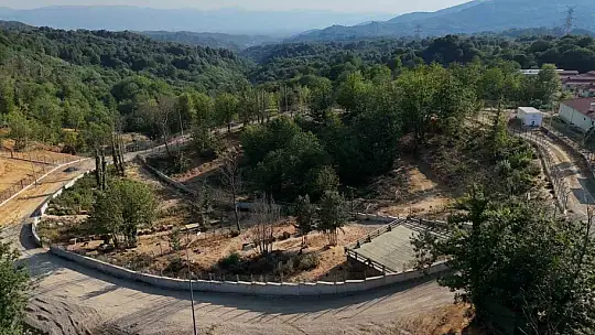 Sokak hayvanları için 80 bin metrekare rehabilitasyon merkezi