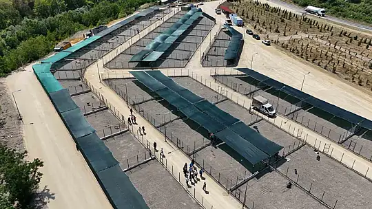 Sokak hayvanları için yapılan modern yaşam merkezi devreye alındı