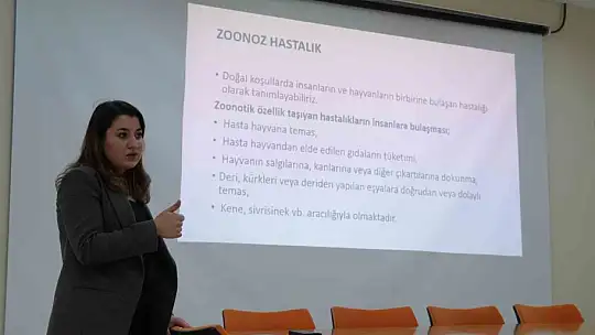 Sokak hayvanları yasaya uygun şekilde rehabilite edilecek