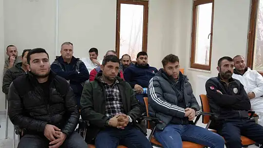 Sokak hayvanları yasaya uygun şekilde rehabilite edilecek