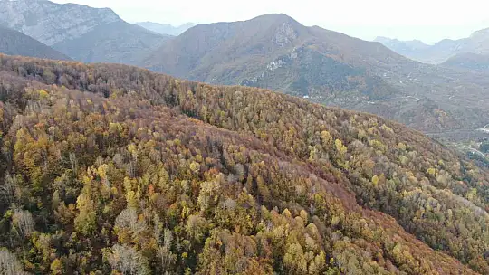 Sonbahara bürünen ormanlar ve 'çam kokulu' evler mest ediyor