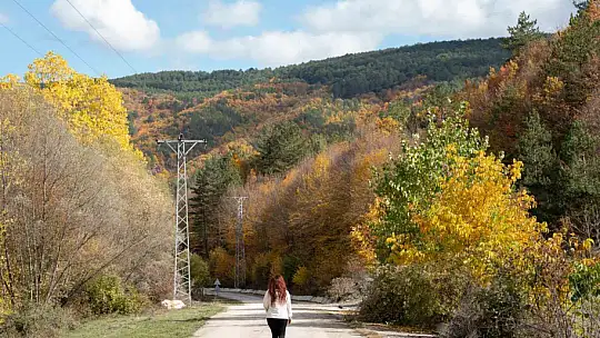 Sonbaharla Kastamonu ormanlarının mest eden buluşması